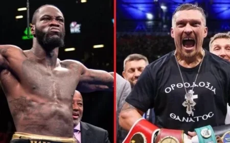 Usyk Targets Wilder Showdown, Describes His Boxing in Three Words