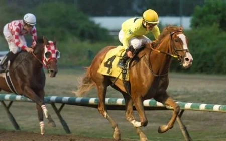 Hastings Racing to End Without Slot Revenue