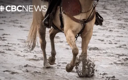 Fond Memories of Horse Racing at Vancouver’s Hastings Racecourse Celebrated