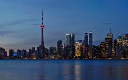 Shark Attack Alert: Immediate Safety Measures Needed