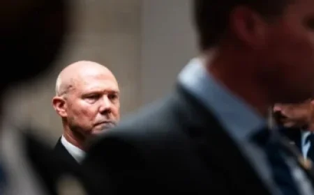 Michigan Eyes Browns OC Tommy Rees for Head Coach Role, Source Reveals