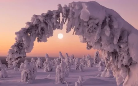 2025 Winter Solstice: Your Guide to the Start of Winter