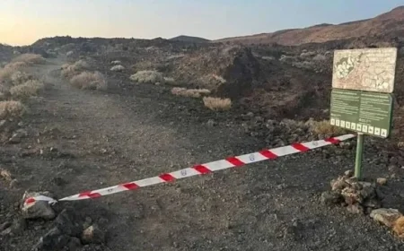 Cabildo Enacts Emergency Protocols in Tenerife for Storm Emilia