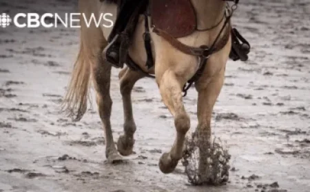 Blue Jays Extend President Mark Shapiro’s Contract by Five Years