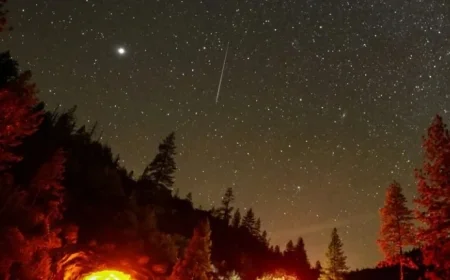 Geminid Meteor Shower Peaks This Weekend: Viewing Tips
