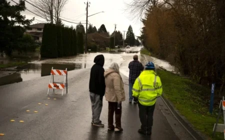 NPR’s The Picture Show: A Visual Delight