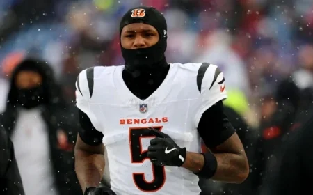 Tee Higgins Out for Ravens Game