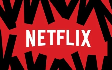 Director Convicted for $11 Million Netflix Scam