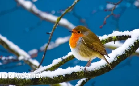 UK Christmas Forecast: Will Snow Cover the Nation This Year?