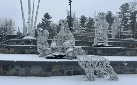 Snowfall Likely in DC Area This Weekend