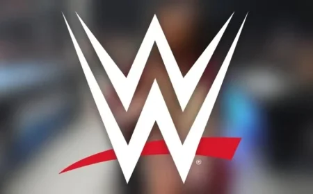 WWE Star Triumphs in First SmackDown Win After 420 Days