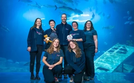 Weekly Highlights: Top Headlines from Plymouth Newspaper