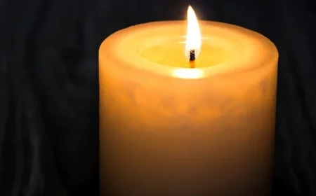 ‘My 600-lb Life’ Star Pauline Potter’s Cause of Death Revealed by Son