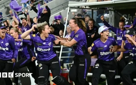 Lizelle Lee Powers Hobart Hurricanes to First WBBL Title, Defeats Perth Scorchers