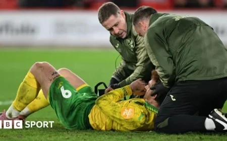 Norwich Anticipate Injury Updates on Sargent and McLean
