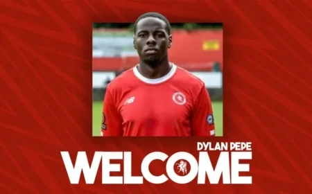 Wings Sign Defender Dylan Pepe for New Season