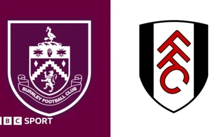 Live Updates: Burnley vs Fulham Premier League Score and Stats