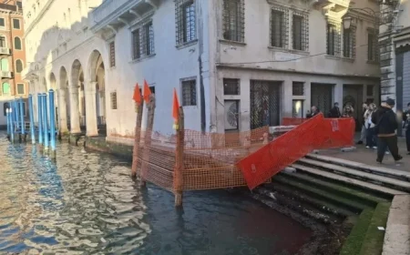 Rialto Boat Crash: Woman Driver Jailed