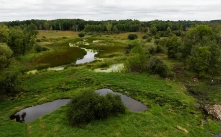 Trump’s EPA Proposes Limiting Federal Water Protections: Impact on Minnesota?