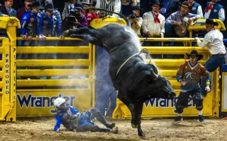 2025 NFR Las Vegas: 9th Go-Round National Finals Rodeo Results