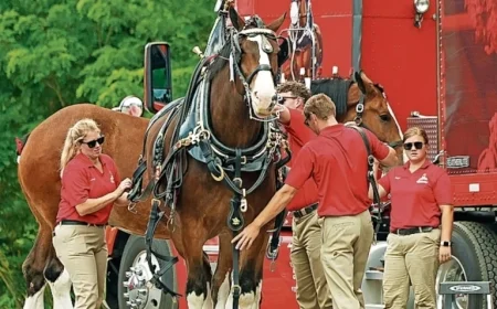 Anheuser-Busch Closes 3 Plants: Impact on Baldwinsville’s Major Brewery