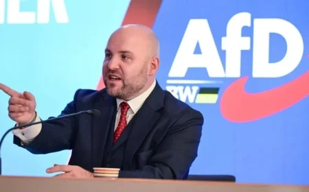 AfD Seeks Strategic Alliances in the U.S.