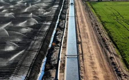 Report Urges Federal Government to Halt Free Distribution of Scarce Water