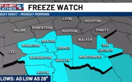 Sunday Night Forecast: Widespread Freeze Anticipated