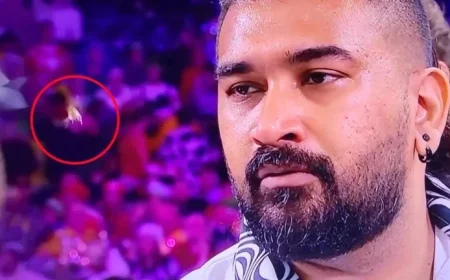 DART Strikes Notorious Ally Pally Wasp in Shocking Moment