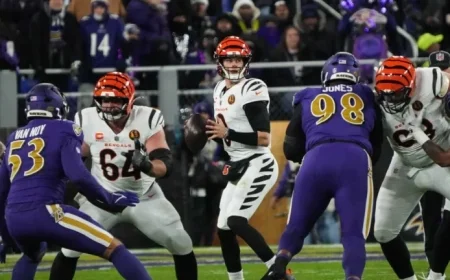 Ravens vs. Bengals to Clash in Frigid Conditions