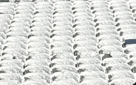 Bengals Violate League Policy by Neglecting Snow Removal from Stadium Seats