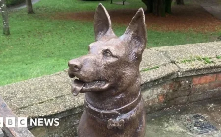 Vislor Antilly Statue Unveiled in Hemel Hempstead