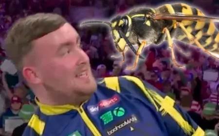 Ally Pally Wasp Thrills Darts Fans with Remarkable Recovery After Attack