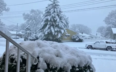 N.J. Snowfall Reaches 8 Inches in Areas: County Reports Inside