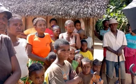 Vatomandry Advances Litchi Transformation Efforts