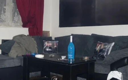 Review: Jawnino’s “Amnesia” Album from Surf Gang