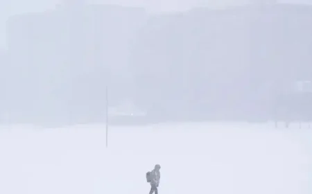 Canada Braces for Severe Winter Storms: Rain and Snow Forecasted