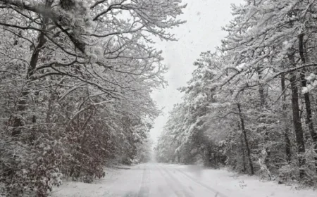 Snow Blankets Long Island: Slick Roads and Delays Hit LaGuardia, JFK