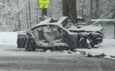 First Snowfall on Long Island Causes Fatal Crashes, Hundreds of Accidents