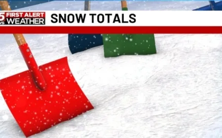 Central Illinois Snowfall Totals Revealed