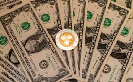 XRP ETF Marks Milestone with 30 Days of Positive Ripple Inflows