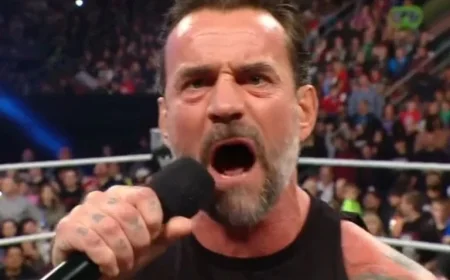 CM Punk Criticizes Steiner Brothers Following AJ Lee Mention on WWE RAW