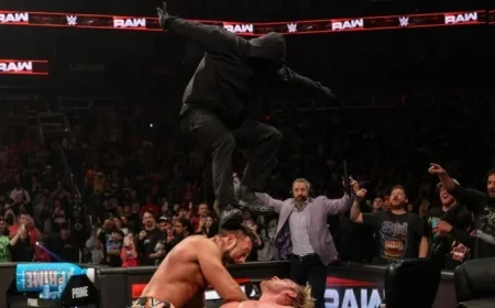 Revealed: Identity of WWE Raw and Survivor Series Masked Man