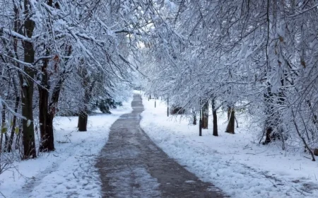 Calgary Faces Icy Forecast with 38-Degree Temperature Shift Coming