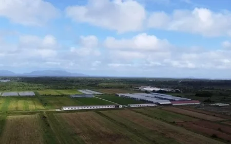 US to Halt Fiji Aid Over Doomsday Cult Impunity