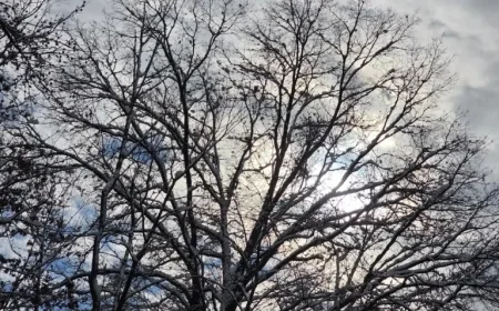 New Jersey Faces Rainmaker After 48+ Hours of Freezing Temperatures