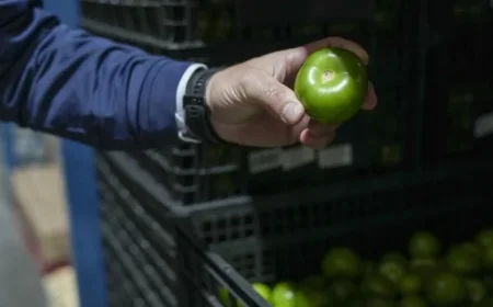 Chain Restaurants Sustain Unlimited Pasta Deals Amid Economic Challenges