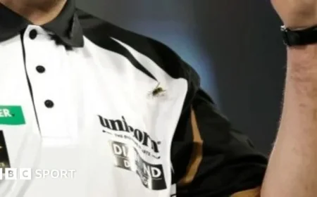 Why Are Wasps Swarming the 2026 World Darts Championship?