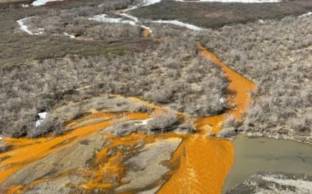 Arctic Warming Accelerates, Surpassing Global Average: NPR Report Finds