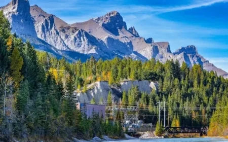 PNP Candidates Receive Express Entry Invitations for Second Consecutive Week